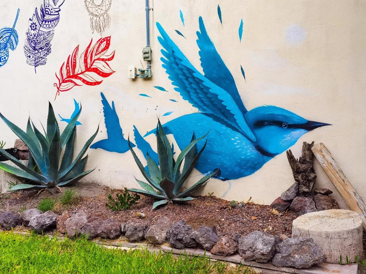 OYO Hostal Casa Los Abuelos Cuatrociénegas de Carranza Exterior foto